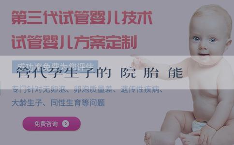 試管代孕生子的醫院 胎動能不能看出男寶還是女寶？準確測性別的方法有什麼？