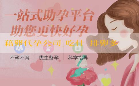 藉卵代孕公司_吃什麼排卵多生雙胞胎？生雙胞胎有什麼方法嗎？