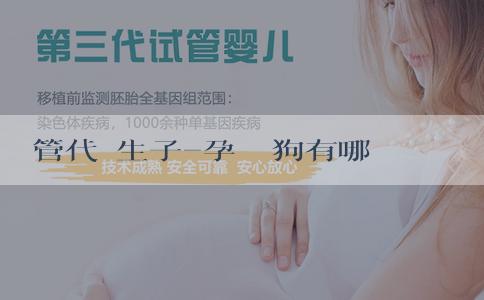 試管代懷生子-孕婦養狗有哪些危害？有什麼方法可以避免？