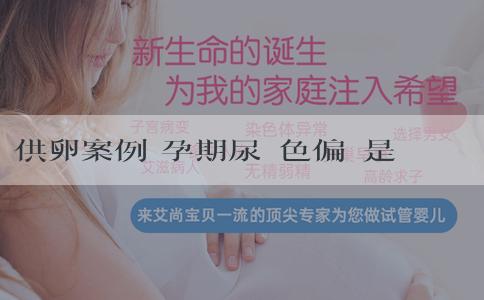 供卵案例 孕期尿顏色偏黃是不是女寶寶？性別檢測可靠的方法有哪些？