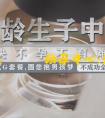 市生殖與遺傳助孕中心:湖北省十堰人民医院第二代试管婴儿成功率高吗?费用需多少?