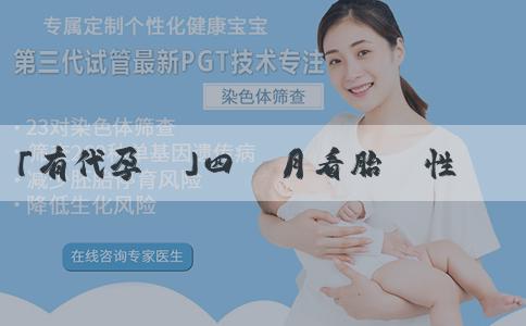 「有代孕嗎」四個月看胎兒性別醫生依據什麼看？會受到哪些因素的影響？