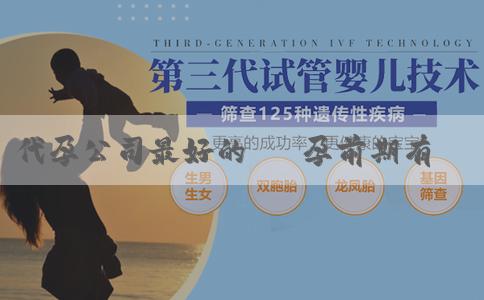 代孕公司最好的 懷孕前期有什麼症狀？
