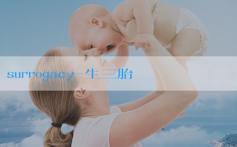 surrogacy-生三胎國家補助多少錢？生三胎國家補助怎樣申請？